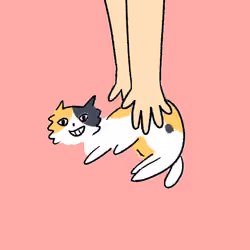 3540