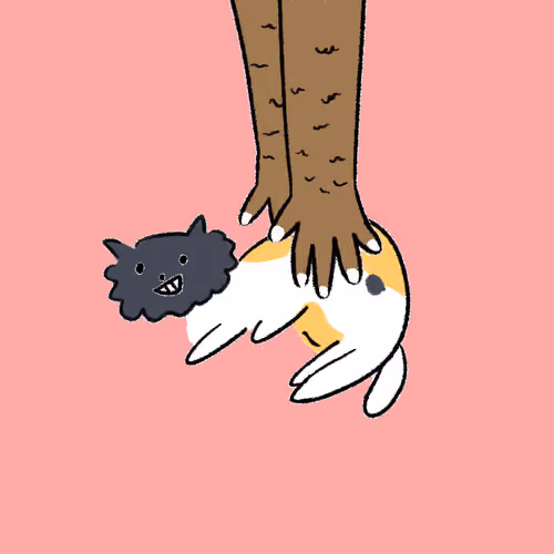 #4794 Hashimoto Cat