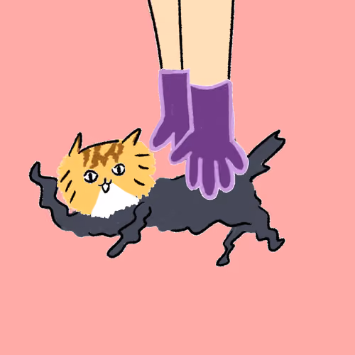 #954 Hashimoto Cat