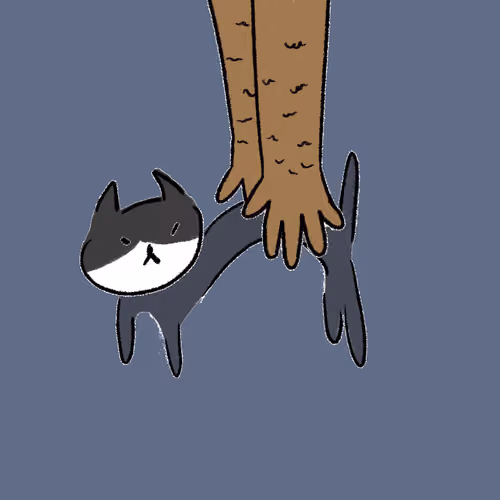 #2300 Hashimoto Cat