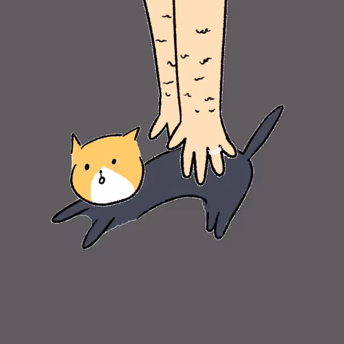 #4486 Hashimoto Cat