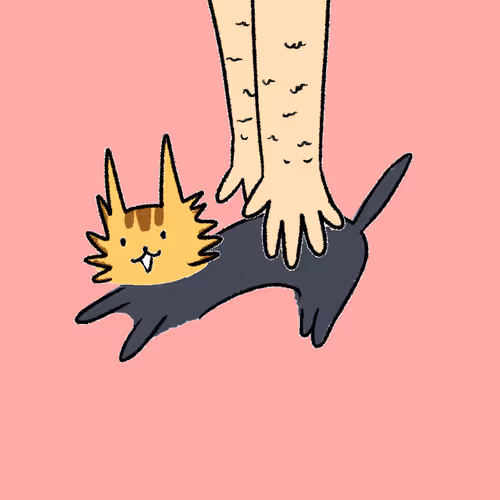 Hashimotocat