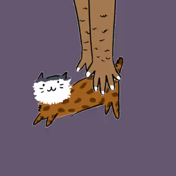653
