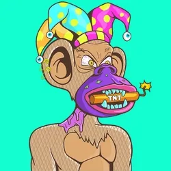 Fun Ape #4527