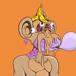 Fun Ape #6894