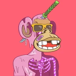 Fun Ape #4552