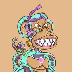 Fun Ape #8262