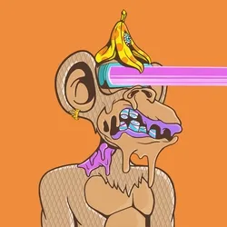 Fun Ape #8452