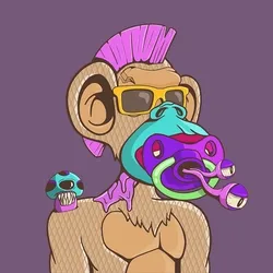 Fun Ape #1706