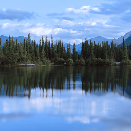 quiet charms by priyanka