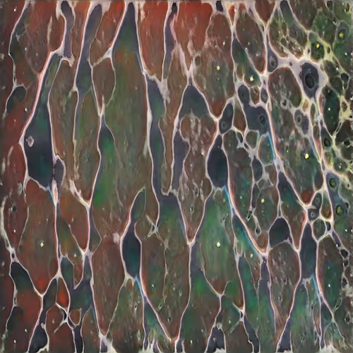 Item #798765432 Media