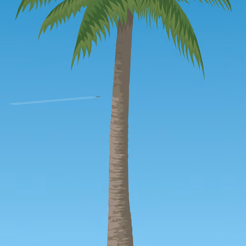 Giant Palm Study