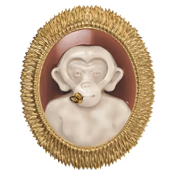 MonkeyDeo #582