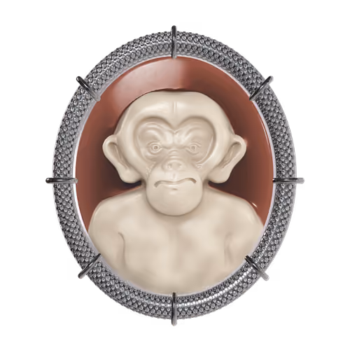 MonkeyDeo #931
