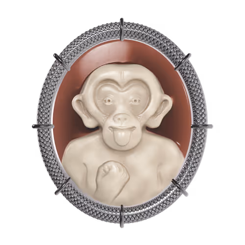 Exclusible Amedeo Crypto Cameo