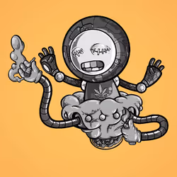 243