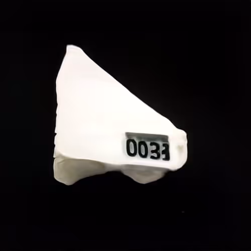 Item #306 Media
