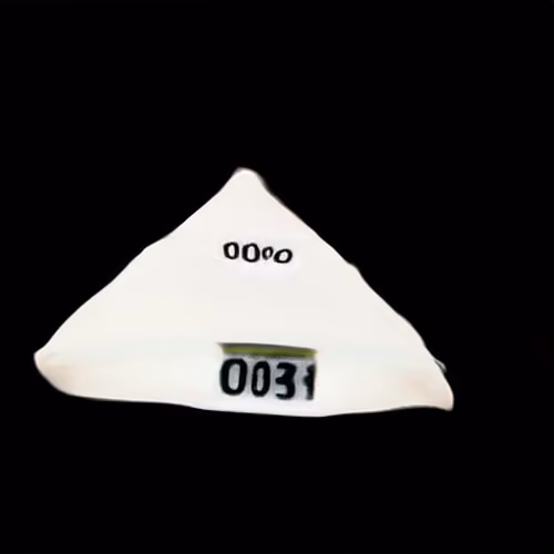 This Shard Does Not Exist 000000220