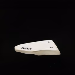This Shard Does Not Exist 000000507