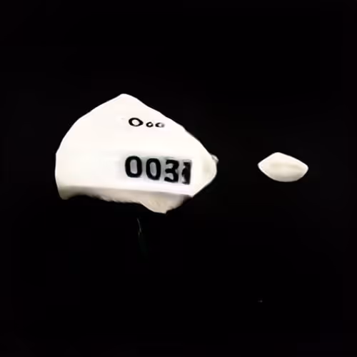 Item #571 Media