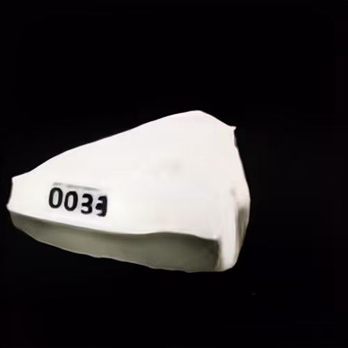 Item #245 Media