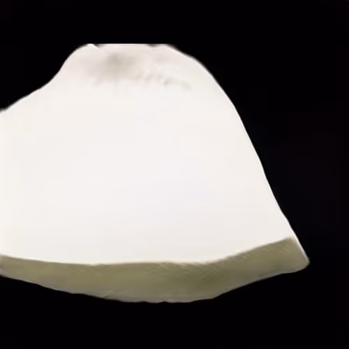 This Shard Does Not Exist 000000412