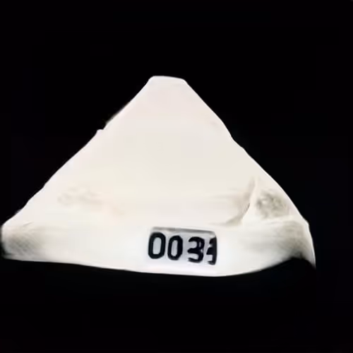 Item #299 Media