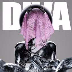 dIVa. #079