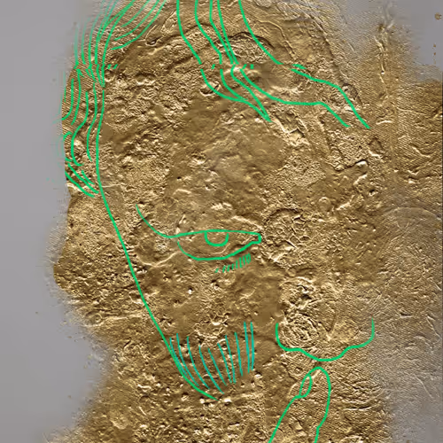 51l