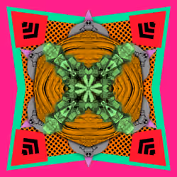 Unrevealed #12