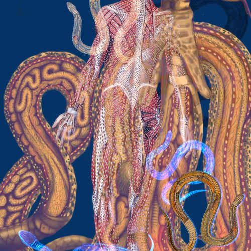 Humanimal Anatomy (snakes) #1