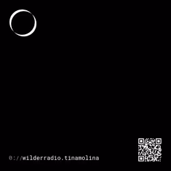 17718400123837676809564016670216603073483276875371383314021396053444353071698