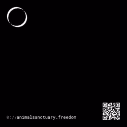 0://animalsanctuary.freedom