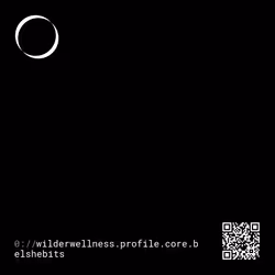 96920731245486975938367436674184794901776085708052186403119079080015577057103