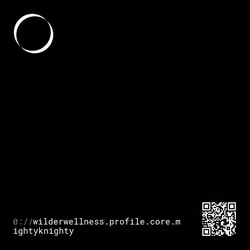 77284318285102244216871960292209441542480104870263756030820781791784769733944