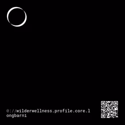 11007141090989839595244299704779080472643949732677980641099010085335427709690