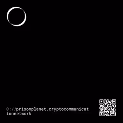 101528515129053680596871432889413700791708468607873090503173303844610092482366