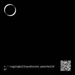 103136123141449249867731925954984999940069959528624615878072204509877164095676