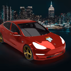 Tesla 29