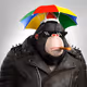 4658