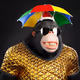 379