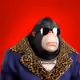 5054
