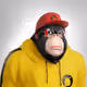 5068