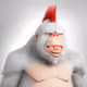 4856