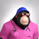 4203