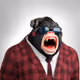 3393