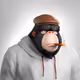 6161