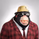 4293