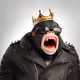 7123