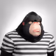 7431